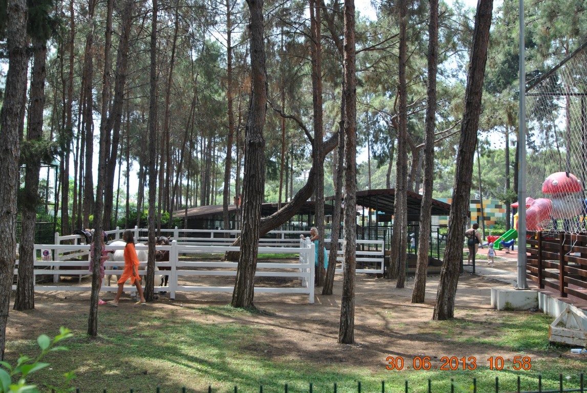 imagini hotel RIXOS SUNGATE